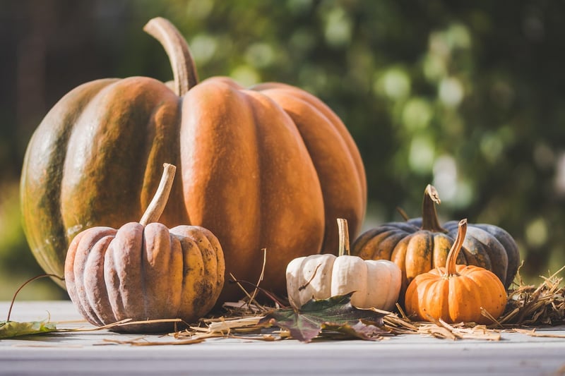 Seasonal Displays