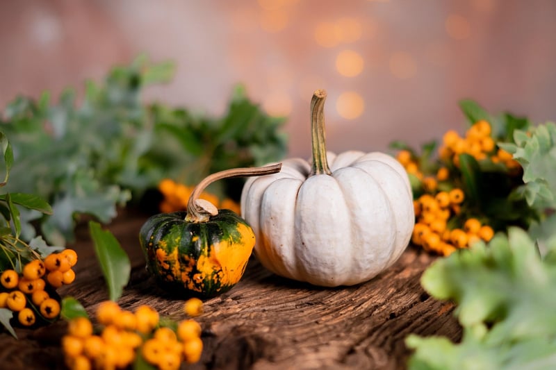 Fall Harvest Display